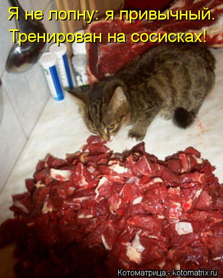 Котоматрица: Я не лопну: я привычный. Тренирован на сосисках!