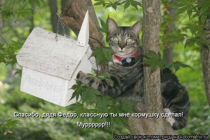 Спасибо, дядя Федор, классную ты мне кормушку сделал! Спасибо, дядя Федор, классную ты мне кормушку ... Котоматрица: Спасибо, дядя Федор, классную ты мне кормушку сделал! Спасибо, дядя Федор, классную ты мне кормушку сделал! Мурррррр!!! Мурррррр!!!