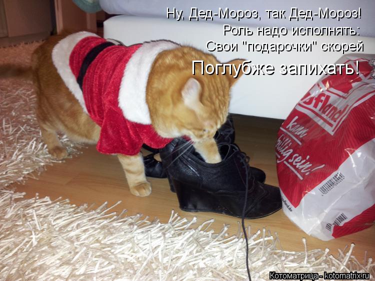 Ну, Дед-Мороз, так Дед-Мороз! Роль надо исполнять: Свои "подарочки" скорей Поглубже запихать!... Котоматрица: Ну, Дед-Мороз, так Дед-Мороз! Роль надо исполнять: Свои "подарочки" скорей Поглубже запихать!