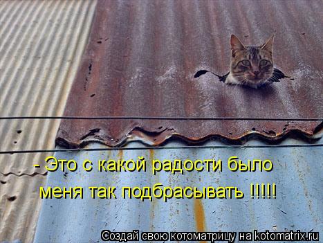 - Это с какой радости было меня так подбрасывать !!!!!... Котоматрица: - Это с какой радости было меня так подбрасывать !!!!!