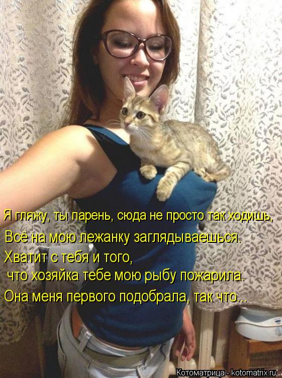Котоматрица: Я гляжу, ты парень, сюда не просто так ходишь, Всё на мою лежанку заглядываешься. Хватит с тебя и того,  что хозяйка тебе мою рыбу пожарила. Он