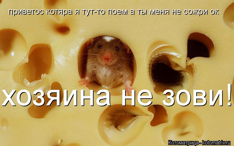 приветос котяра я тут-то поем а ты меня не сожри ок хозяина не зови!!!... Котоматрица: приветос котяра я тут-то поем а ты меня не сожри ок хозяина не зови!!!