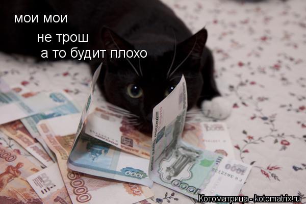 мои мои не трош а то будит плохо... Котоматрица: мои мои не трош а то будит плохо