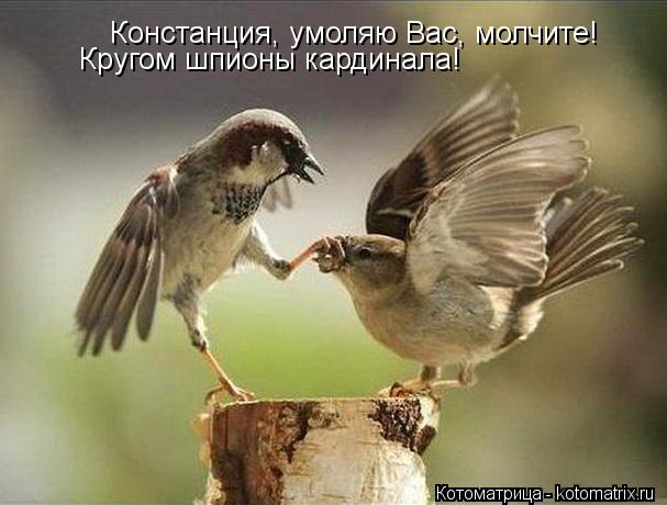 Констанция, умоляю Вас, молчите! Кругом шпионы кардинала!... Котоматрица: Констанция, умоляю Вас, молчите! Кругом шпионы кардинала!