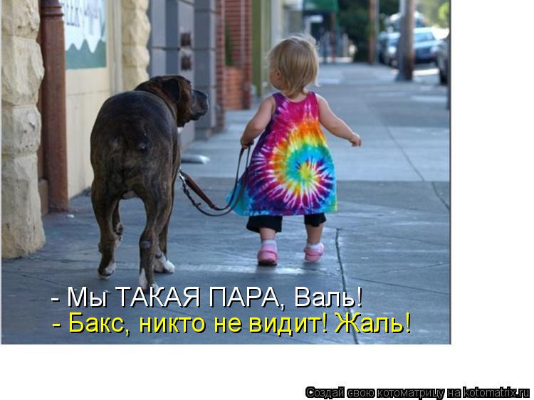 - Мы ТАКАЯ ПАРА, Валь! - Бакс, никто не видит! Жаль!... Котоматрица: - Мы ТАКАЯ ПАРА, Валь! - Бакс, никто не видит! Жаль!