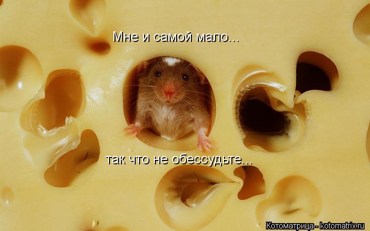 Мне и самой мало... так что не обессудьте...... Котоматрица: Мне и самой мало... так что не обессудьте...