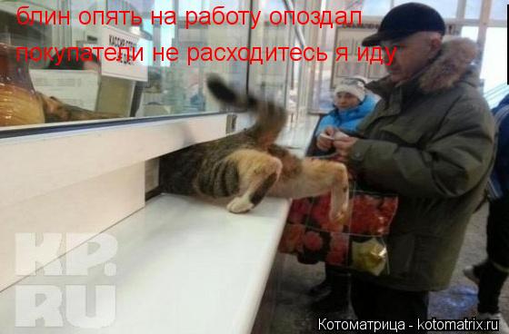 блин опять на работу опоздал покупатели не расходитесь я иду... Котоматрица: блин опять на работу опоздал покупатели не расходитесь я иду
