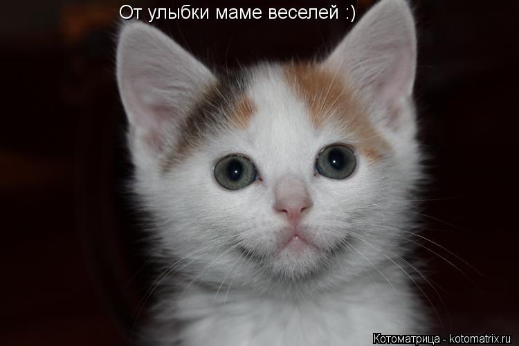 Котоматрица: От улыбки маме веселей :)