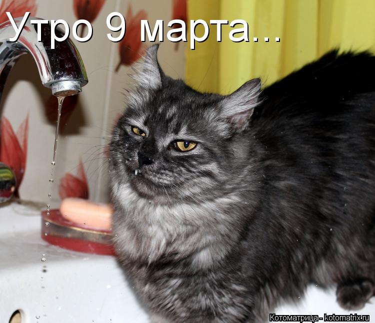 Утро 9 марта...... Котоматрица: Утро 9 марта...