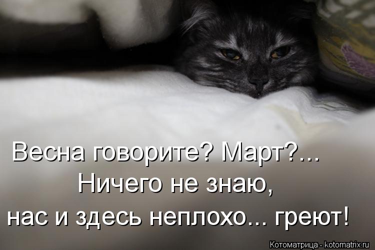 Весна говорите? Март?... Ничего не знаю, нас и здесь неплохо... греют!... Котоматрица: Весна говорите? Март?... Ничего не знаю, нас и здесь неплохо... греют!