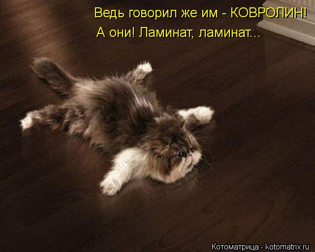Ведь говорил же им - КОВРОЛИН! А они! Ламинат, ламинат...... Котоматрица: Ведь говорил же им - КОВРОЛИН! А они! Ламинат, ламинат...