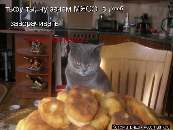 тьфу ты, ну зачем МЯСО в хлеб заворачивать теперь выгрызать... Котоматрица: тьфу ты, ну зачем МЯСО в хлеб заворачивать теперь выгрызать
