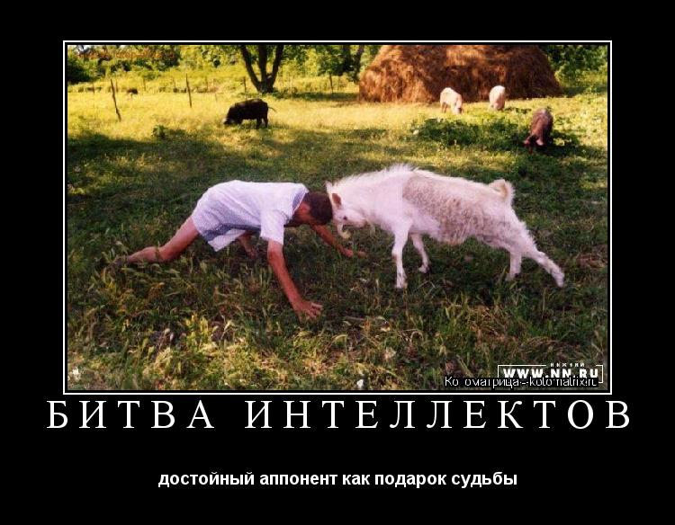 БИТВА ИНТЕЛЛЕКТОВ достойный аппонент как подарок судьбы... Котоматрица: БИТВА ИНТЕЛЛЕКТОВ достойный аппонент как подарок судьбы
