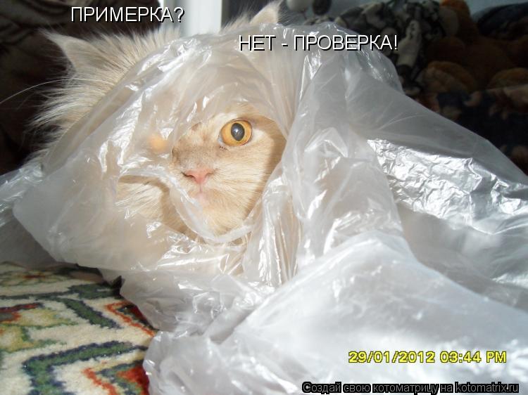 Котоматрица: ПРИМЕРКА?  НЕТ - ПРОВЕРКА!