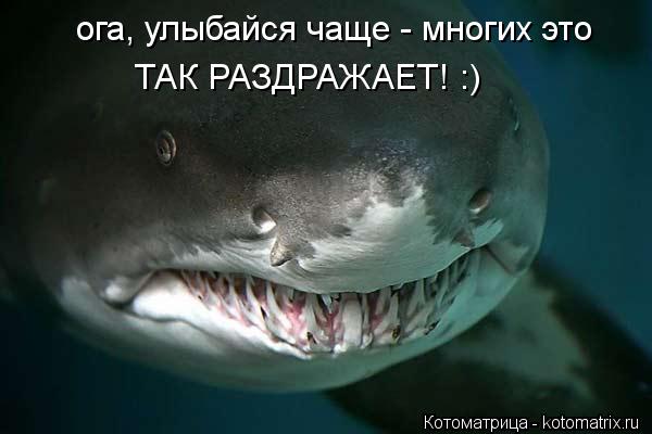 ога, улыбайся чаще - многих это ТАК РАЗДРАЖАЕТ! :)... Котоматрица: ога, улыбайся чаще - многих это ТАК РАЗДРАЖАЕТ! :)