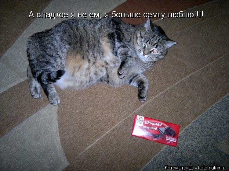 Котоматрица: А сладкое я не ем, я больше семгу люблю!!!!