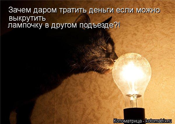 Котоматрица: Зачем даром тратить деньги если можно  выкрутить лампочку в другом подъезде?!