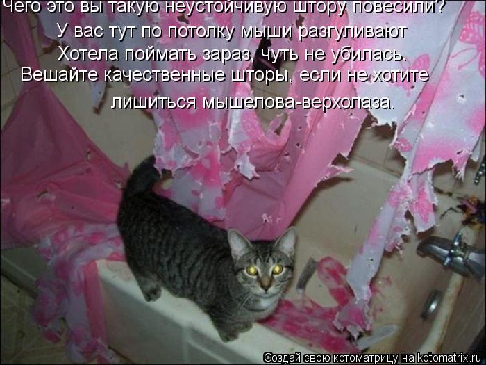 Котоматрица: Чего это вы такую неустойчивую штору повесили? У вас тут по потолку мыши разгуливают Хотела поймать зараз, чуть не убилась. Вешайте качеств