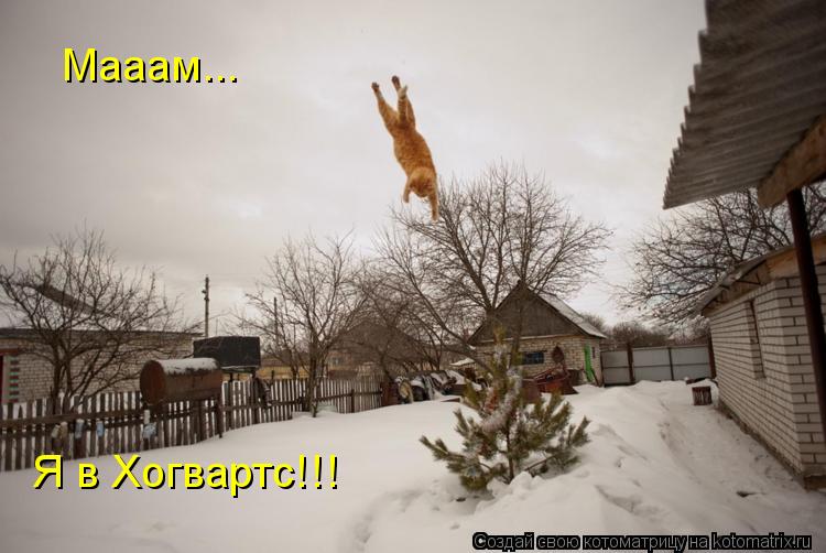 Котоматрица: Мааам... Я в Хогвартс!!!