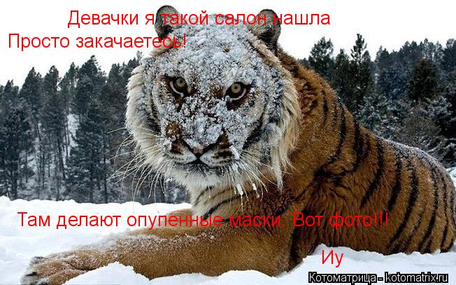 Котоматрица: Девачки я такой салон нашла Просто закачаетесь! Там делают опупенные маски. Вот фото!!!  Иу