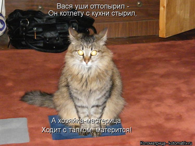 Котоматрица: Вася уши оттопырил - Он котлету с кухни стырил, А хозяйка-мастерица Ходит с тапком, матерится!