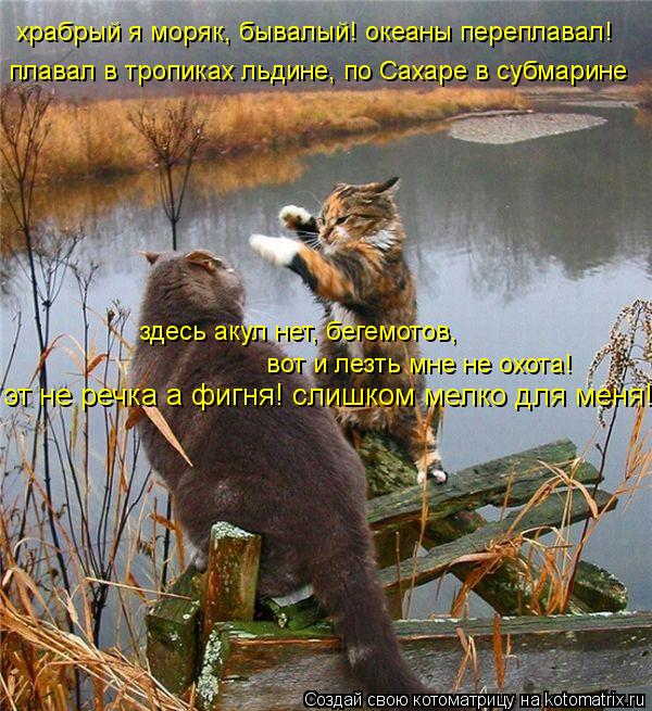Котоматрица: храбрый я моряк, бывалый! океаны переплавал! плавал в тропиках льдине, по Сахаре в субмарине здесь акул нет, бегемотов, вот и лезть мне не охо