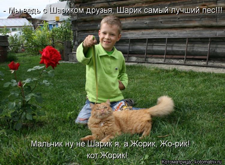 Котоматрица: Мальчик ну не Шарик я, а Жорик, Жо-рик! кот Жорик! - Мы ведь с Шариком друзья, Шарик самый лучший пес!!!