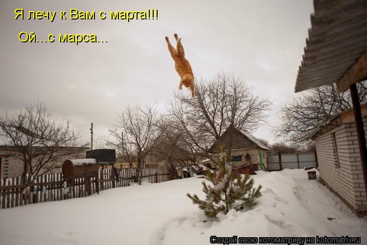 Котоматрица: Я лечу к Вам с марта!!! Ой...с марса...