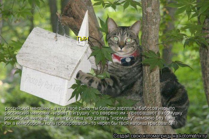 Котоматрица: российский чиновник - в пуху твоё рыло, ты больше зарплаты бабосов нарыло. российский чиновник - играет в игрушку: что вверено им - превращаю