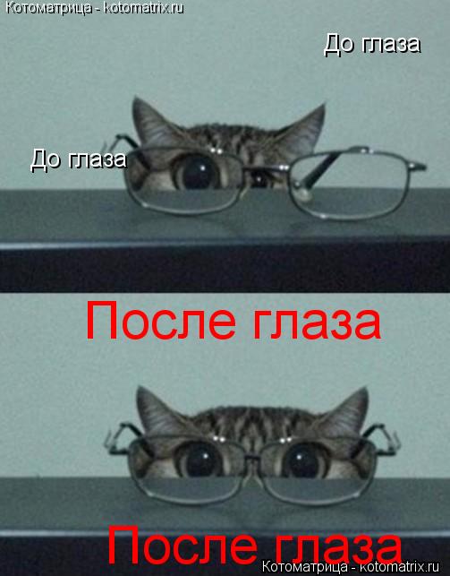 Котоматрица: До глаза До глаза После глаза После глаза Котоматрица - kotomatrix.ru