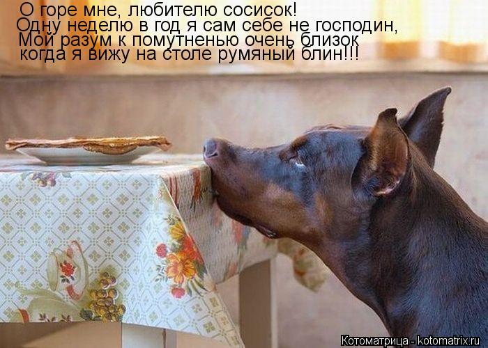 Котоматрица: О горе мне, любителю сосисок! Одну неделю в год я сам себе не господин, Мой разум к помутненью очень близок когда я вижу на столе румяный блин
