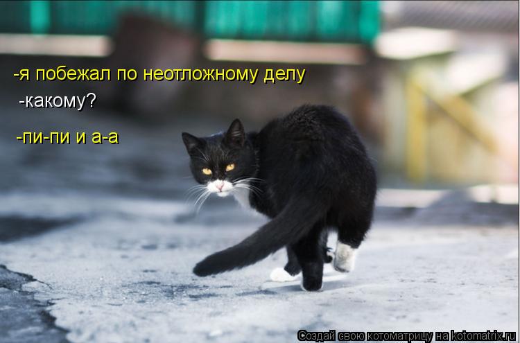 Котоматрица: -я побежал по неотложному делу -какому? -пи-пи и а-а