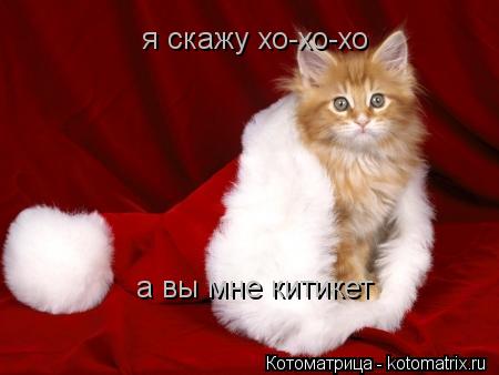 Котоматрица: я скажу хо-хо-хо  а вы мне китикет