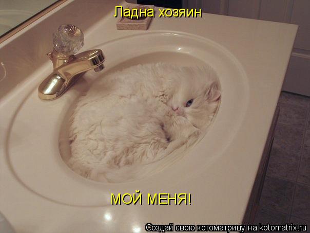 Котоматрица: Ладна хозяин МОЙ МЕНЯ!