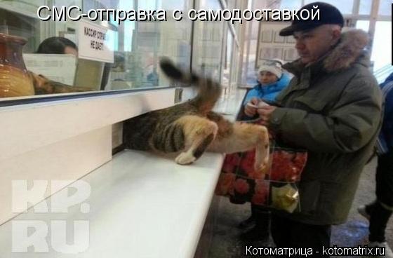 Котоматрица: СМС-отправка с самодоставкой