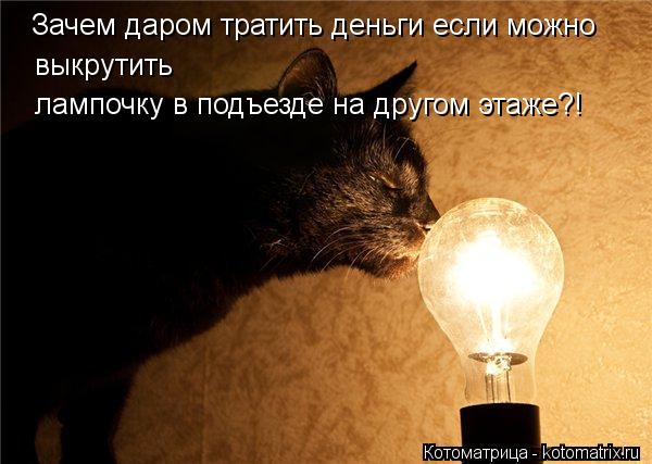 Котоматрица: Зачем даром тратить деньги если можно  выкрутить лампочку в подъезде на другом этаже?!
