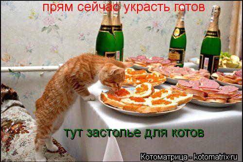 Котоматрица: прям сейчас украсть готов  тут застолье для котов