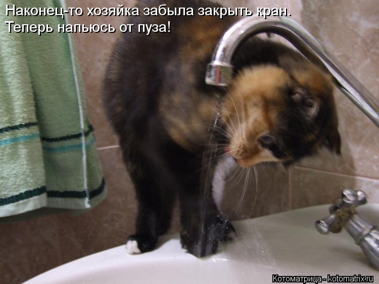 Котоматрица: Теперь напьюсь от пуза! Наконец-то хозяйка забыла закрыть кран.