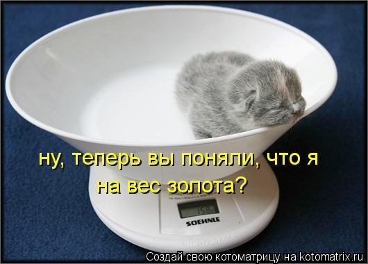 Котоматрица: ну, теперь вы поняли, что я на вес золота?