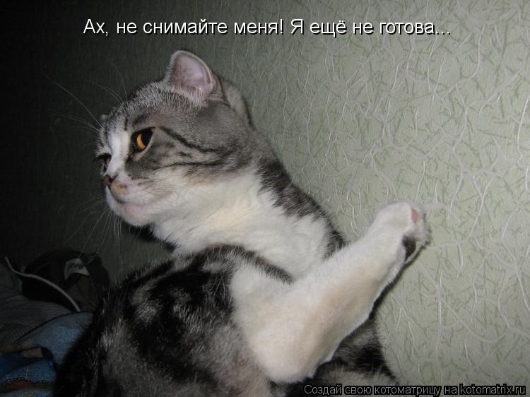 Ах, не снимайте меня! Я ещё не готова...... Котоматрица: Ах, не снимайте меня! Я ещё не готова...