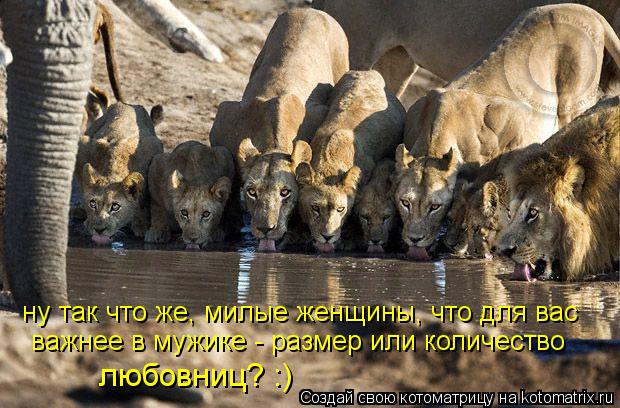 ну так что же, милые женщины, что для вас важнее в мужике - размер или количество любовниц? :)... Котоматрица: ну так что же, милые женщины, что для вас важнее в мужике - размер или количество любовниц? :)