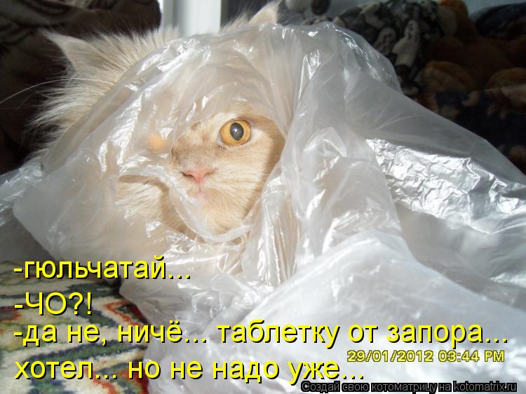 -гюльчатай... -ЧО?! -да не, ничё... таблетку от запора... хотел... но не надо уже...... Котоматрица: -гюльчатай... -ЧО?! -да не, ничё... таблетку от запора... хотел... но не надо уже...