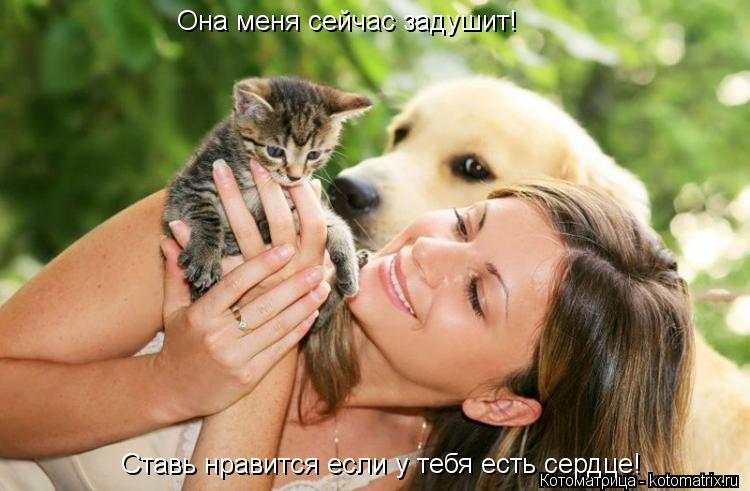 Котоматрица: Она меня сейчас задушит! Ставь нравится если у тебя есть сердце!