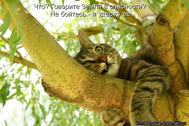Котоматрица: Что? Говорите Земля в опасности? Не бойтесь - я удержу ее...