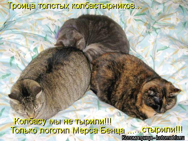 Котоматрица: Троица толстых колбастырников... Колбасу мы не тырили!!! Только логотип Мерса Бенца ... ...стырили!!!