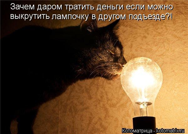 Котоматрица: Зачем даром тратить деньги если можно  выкрутить лампочку в другом подъезде?!