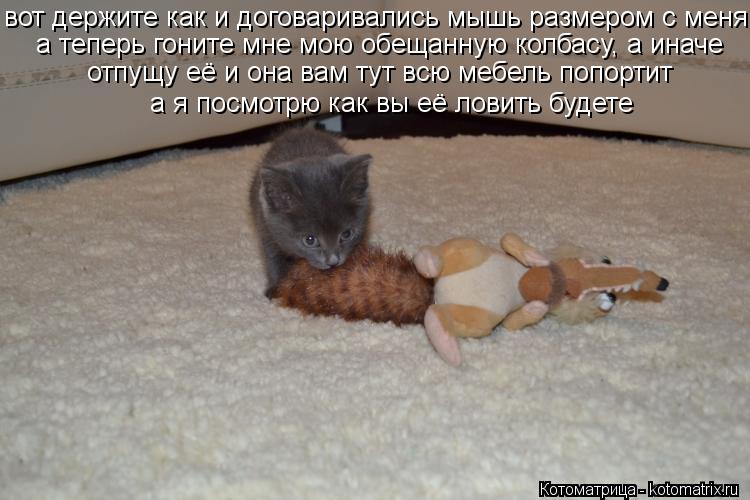 Котоматрица: вот держите как и договаривались мышь размером с меня а теперь гоните мне мою обещанную колбасу, а иначе  отпущу её и она вам тут всю мебель 