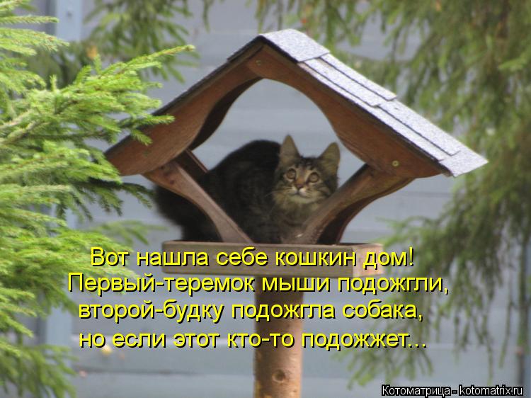 Котоматрица: Вот нашла себе кошкин дом! Первый-теремок мыши подожгли, второй-будку подожгла собака, но если этот кто-то подожжет...