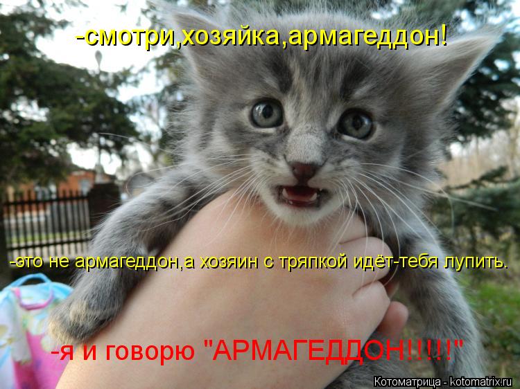 Котоматрица: -это не армагеддон,а хозяин с тряпкой идёт-тебя лупить. -смотри,хозяйка,армагеддон! -я и говорю "АРМАГЕДДОН!!!!!"