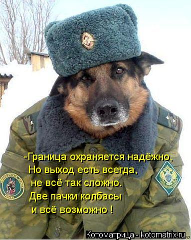 Котоматрица: Две пачки колбасы  и всё возможно ! Но выход есть всегда,  -Граница охраняется надёжно,   не всё так сложно.